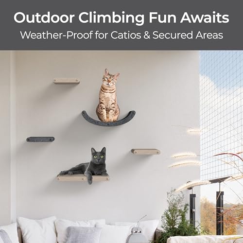 Cat Wall Shelf (Charcoal / 1 Long Cat Climber)