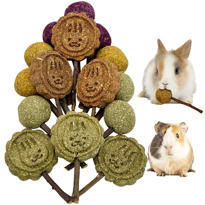 Rabbit Chew Toys