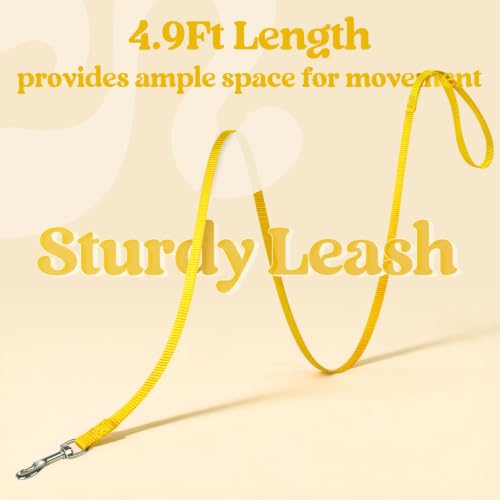 Cat Harness and Leash Set (M / Bright Yellow)