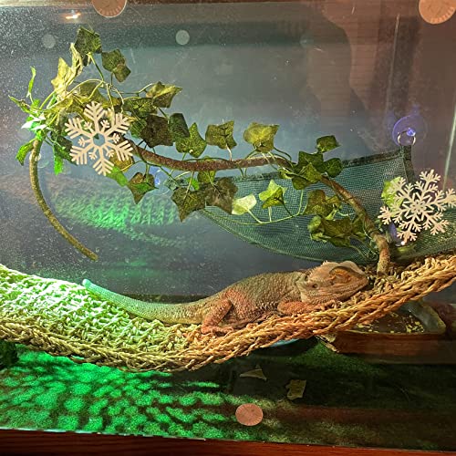 Reptile Wooden Bridge