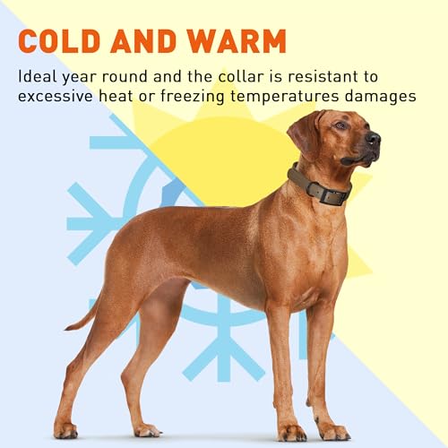 Biothane Waterproof Dog Collar Strong Coated Nylon Webbing with Black Hardware Odor