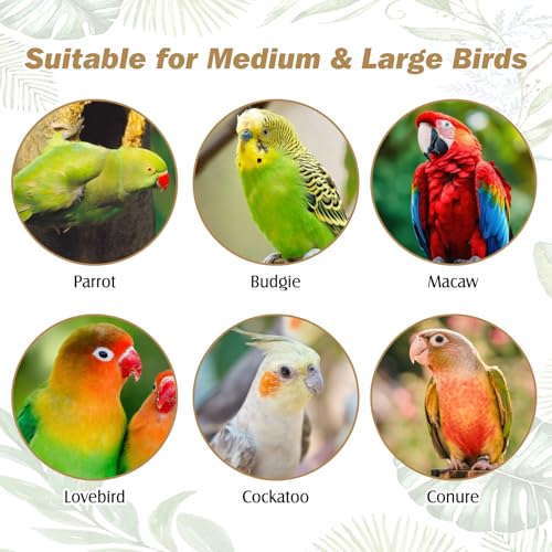 Natural Parrot Perch Grape Wood Bird Stand Pole Parakeet Paw Grinding Fork Chewable Climbing Branches Toy Bird Cage Accessories for Budgies Conures Cockatiels Lovebirds (7.9in)