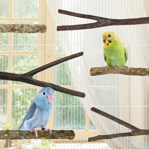 8 PCS Natural Bird Wood Perch Parakeet Standing Toy Sticks Parrot Paw Grinding Branches Cockatiels Cage Chewable Accessories for Conures Macaws Finches