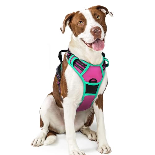 Dog Harness No Pull for Large Dogs with 2 Leash Clips (Large / Hot Pink & Turquoise)