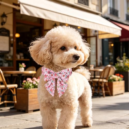 Halloween Dog Collar with Sailor Bow (Flower Ghost(Sailor Bow) / X-Small (Pack of 1))