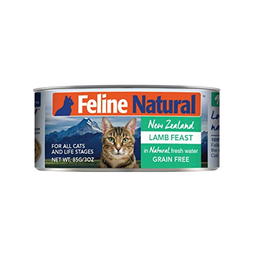 Canned Grain Free High (3 Ounce (Pack of 24))