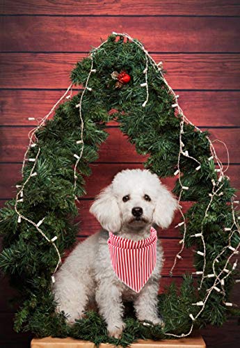 Dog Bandana for Small Medium Large Dogs (Red&White Stripe / Large (Pack of 1))