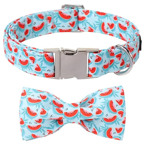 Watermelon Dog Collar with Bowtie (Watermelon / X-Small (Pack of 1))