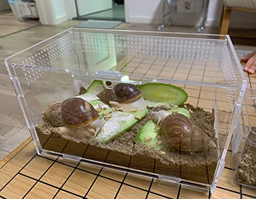 Magnetic Acrylic Case (7.8*4.7*4.7inch)