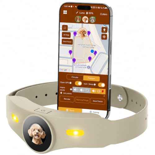 Wireless Dog Fence (Off White)