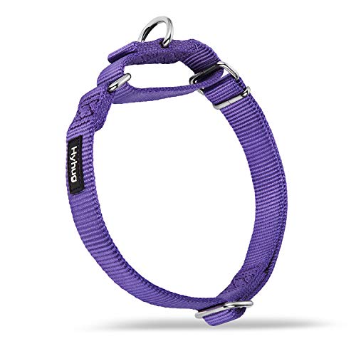 Martingale Dog Collars for Medium Dogs (Medium / Ultra violet)