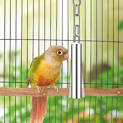 Stainless Steel Bell Toy Bird Cage Hanging Bite Toy for Parrot Parakeet Budgie Cockatiel Conure African Greys (1 PCS-L)