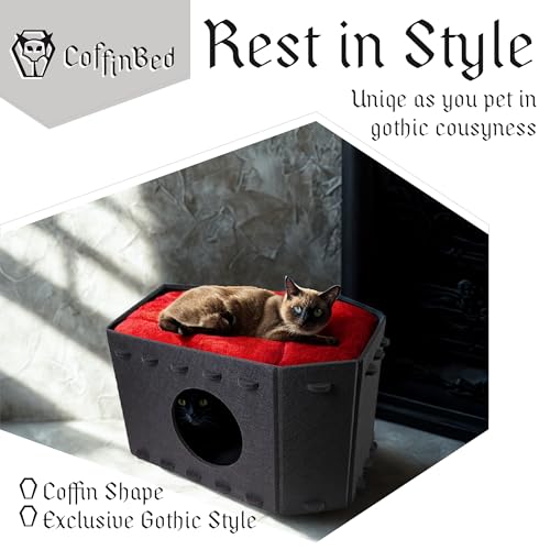 Gothic Cat Bed for Indoor Cats or Pets