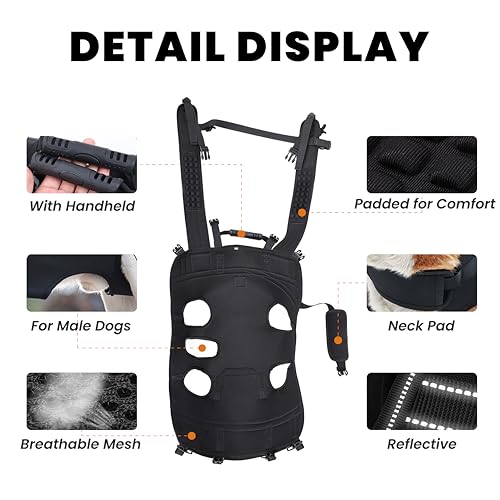 Dog Lift Harness Backpack Carrier for Large Dogs (Large 20-29 LBS)
