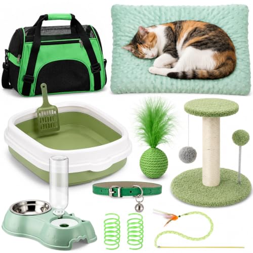 10 Pcs Kitten Starter Kit for Indoor (Classic / Medium / Green)