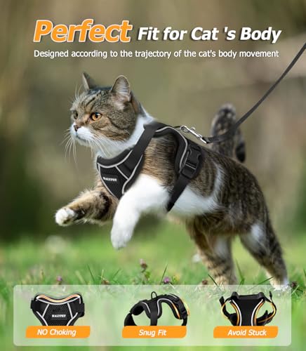 Cat Harness and Leash Set (H600 Pro Black / Medium (13-18lb))