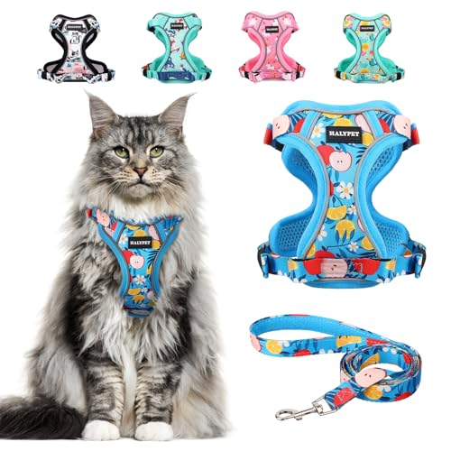 Cat Harness and Leash Set[MAX Safety 4th (H603 Pro Azure Floral / Medium (13-18lb))