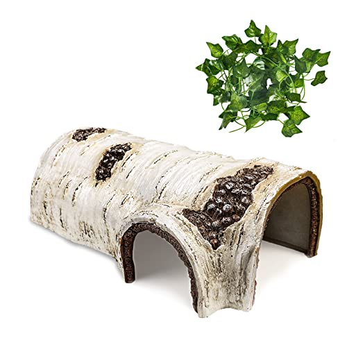 Reptile Hide Caves Simulation Tree Hideout Snake Hide