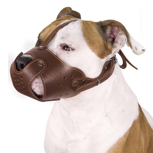 Leather Basket Muzzle for Pitbull & Amstaff (Brown Basket)
