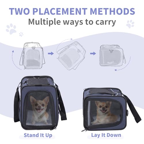 Airline Approved Pet Carrier for Small Dogs & Cats (Navy / 19.0"L x 9.0"W x 12.0"H)