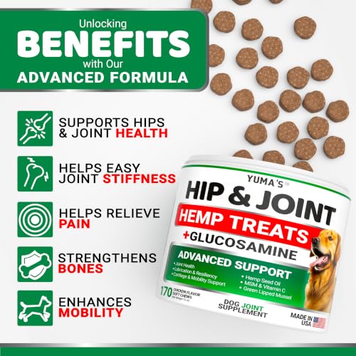 Hemp Hip and Joint Supplement for Dogs (Hemp Hip & Joint Chews / 170 Treats)