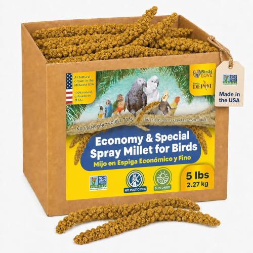 5lbs Economy & Special Spray Millet for Birds (5 Pound (Pack of 1))