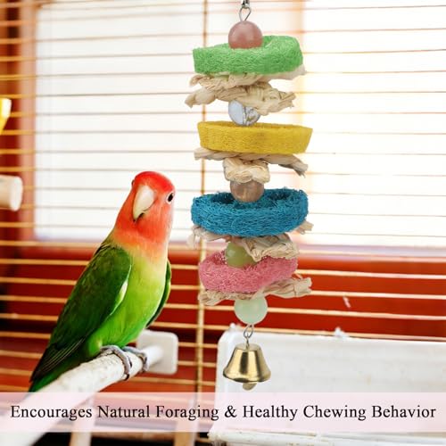 Pet Bird Parrot Swing Chewing Toy Natural Sepa Takraw with Happy Twist Colorful Bead Swing Bell (F)