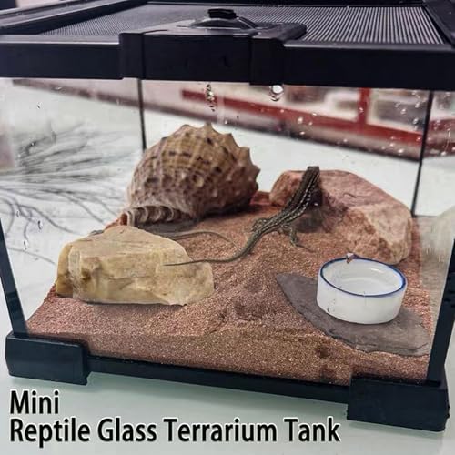 Mini Reptile Glass Terrarium Tank (1.69gal：7.9"L x 7.9"Wx 5.7"H)