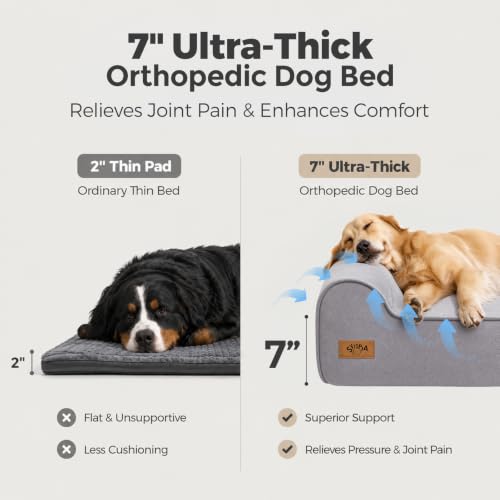 XXL 35D Memory Foam Dog Bed for Extra Large Dogs (XX-Large / Grey)