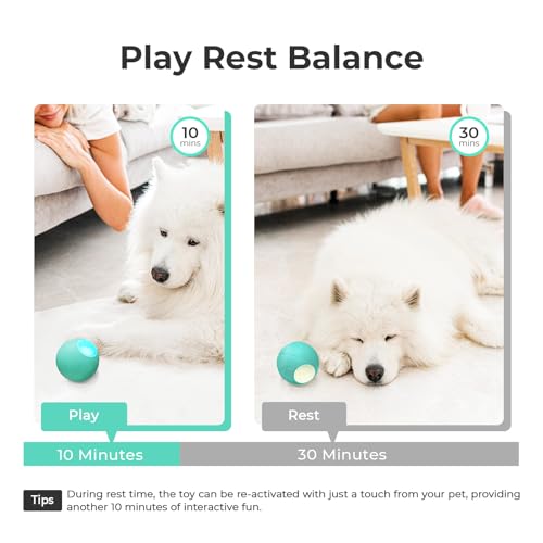 Interactive Dog Toys (Medium)