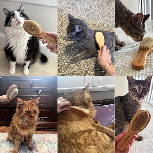 Boar Bristle Soft Cat Brush for Indoor