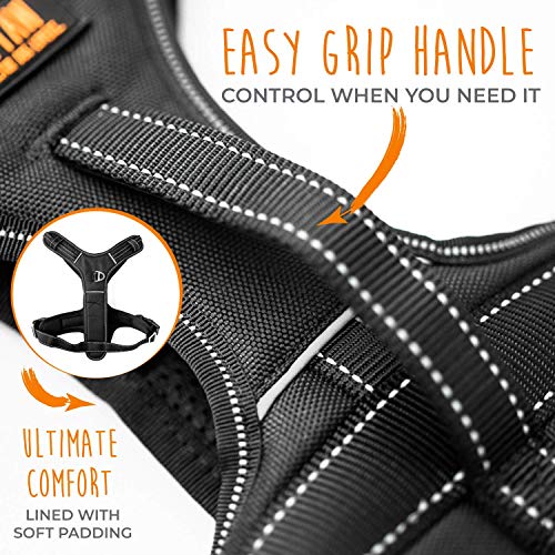 Sport Harness 2.0 (Large / Black)
