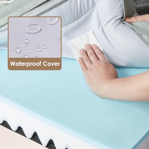 Orthopedic Extra Large Dog Bed (Greyish Green / 44.0"l X 32.0"w X 6.5"th)