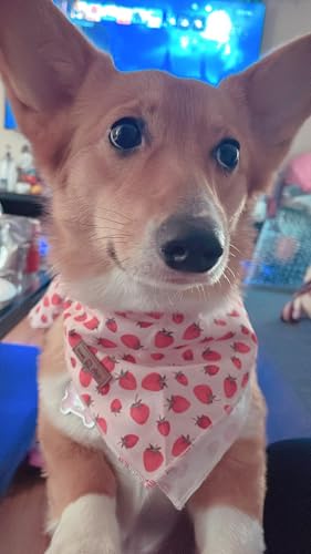 Dog Bandana Fabric Pink Dogs Kerchief for Medium Large Dogs (Strawberry / Large (Pack of 1))