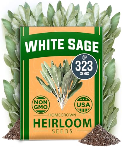 White Sage Seeds