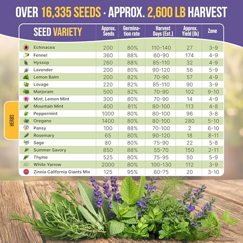 35 Medicinal & Tea Herb Seeds Variety Pack for Indoor & Outdoors. 16