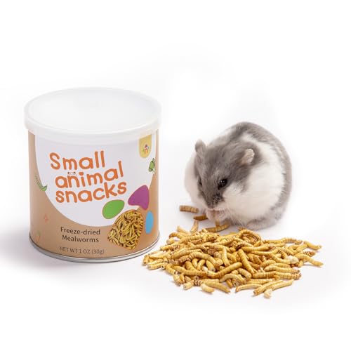 Small Animal Snack & Treats