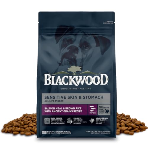 Sensitive Premium Dry Dog Food (Salmon Meal & Brown Rice with Ancient Grains / 4.5 Pound (Pack of 1))