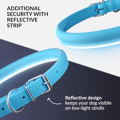 Tangle Free Reflective Leather Dog Collar (Light Blue / XL)