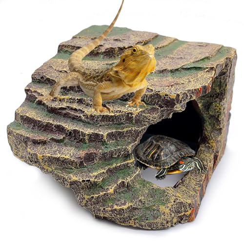 Small Turtles Basking Platform