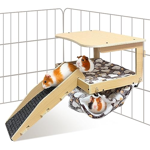 Guinea Pig Hideout