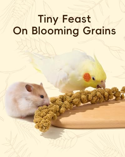 60PCS Natural Hamster Bedding (60pcs)