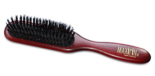 Professional Grooming Brush for Dog and Cats (8.5" / Maxi Pin Boar)