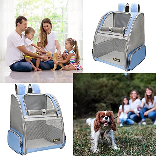 Innovative Traveler Bubble Backpack Pet Carriers for Cats and Dogs (Blue)