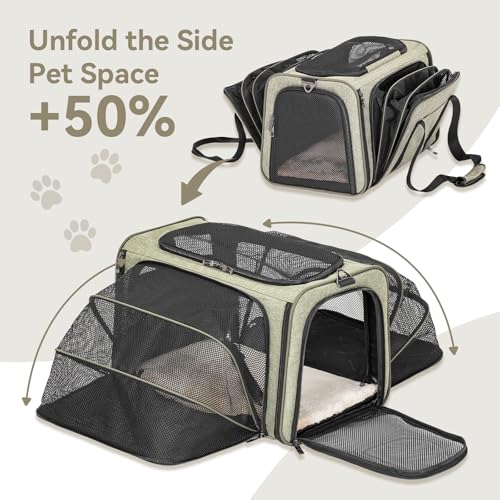 Large Double Expandable Cat Carrier for Large Cats and Small Dogs (19.0"L x 12.0"W x 12.0"H / Green)