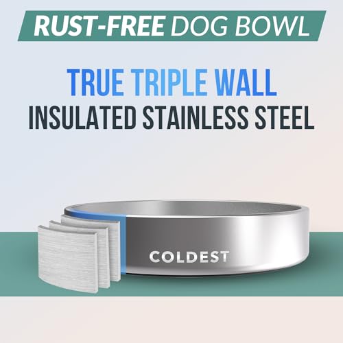 Coldest Dog Bowl (21 oz / Polished Stainless Steel)