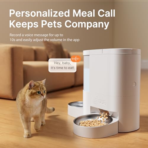 Automatic Cat Feeder and Water