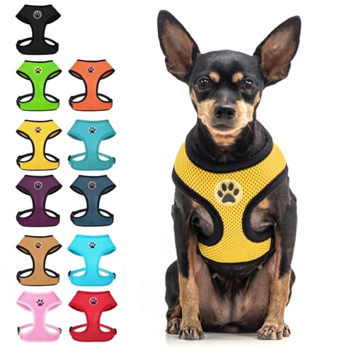 Small Dog Harness (S (NECK: 12", CHEST: 14"-18") / Yellow)