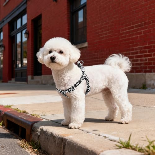 No Pull Dog Harness Small Sized Step (Black&White(Checkered) / Small)