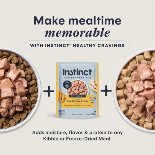 Healthy Cravings Grain Free Real Chicken Recipe Natural Wet Cat Food Topper by Nature's Variety (3 Ounce (Pack of 24))